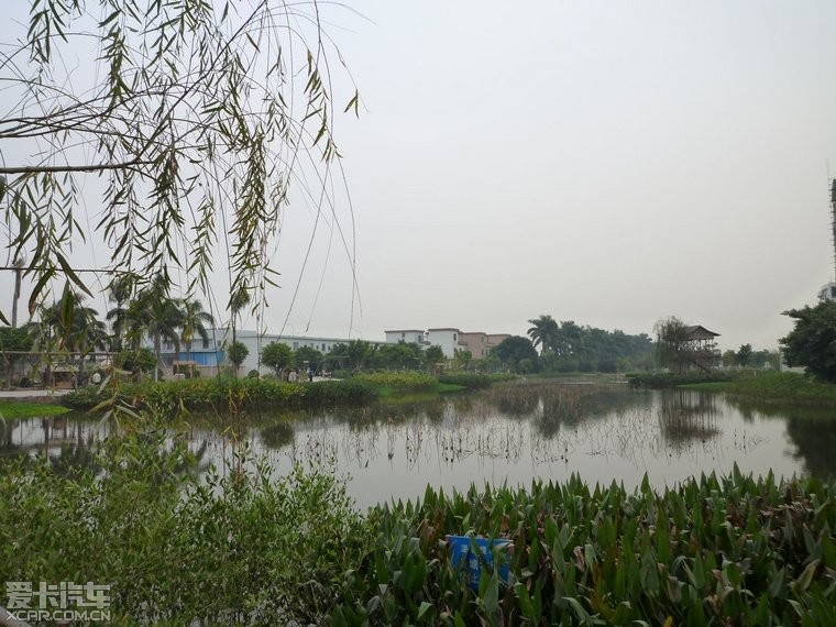 番禺东涌绿道湿地公园图片