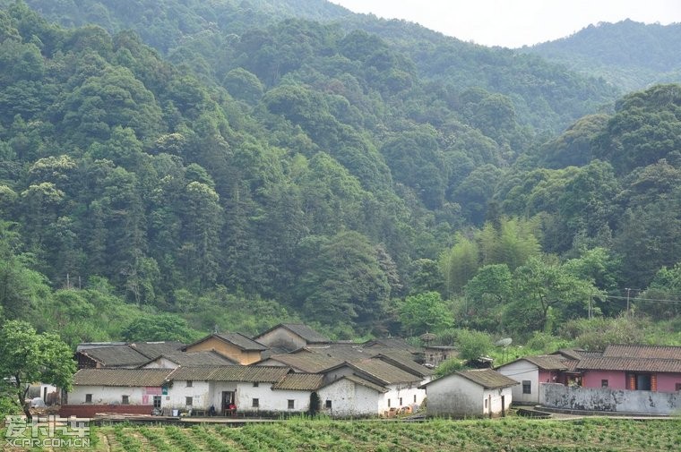 从化阿婆六村图片图片