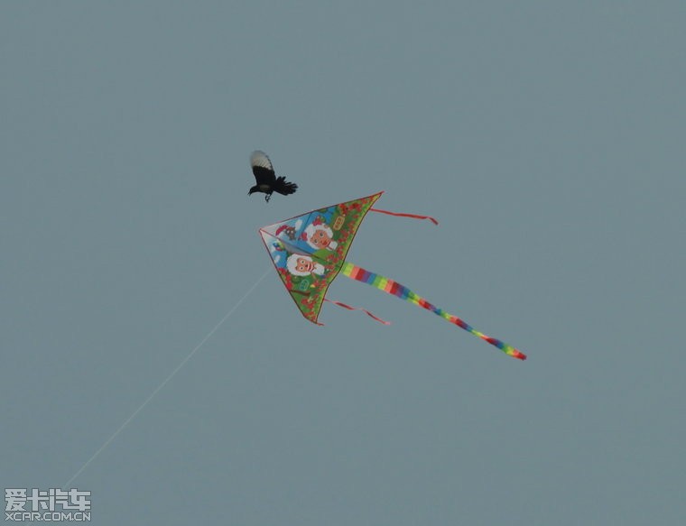 木鹊风筝图片