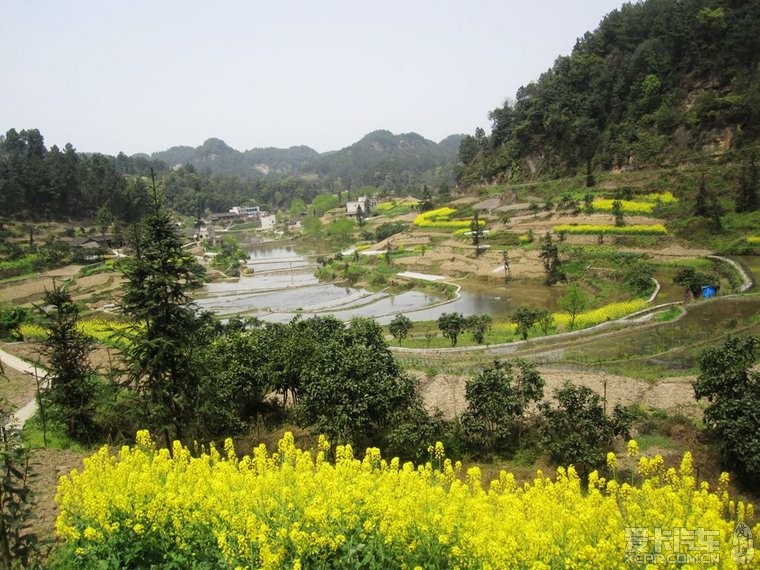 我的家乡威远两河镇勇敢村俩母山(2010年8月