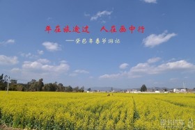 ;  ڻ