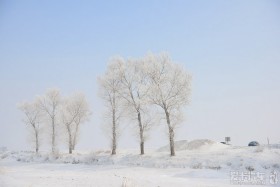 2013괺Ϻ-Įӱ循Լұ֮--մ̼ˣ