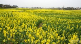 20130308׽Ȫ԰һ١ࡢŶ