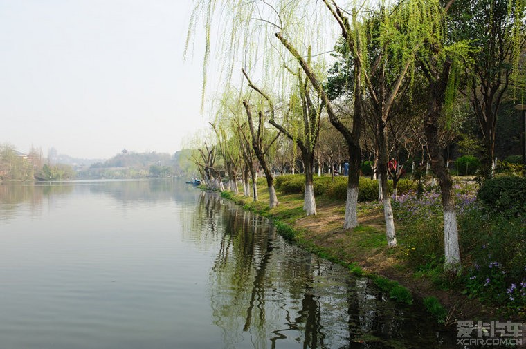 南京杨柳湖图片