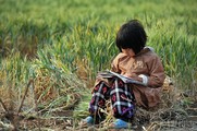 东川红土地读书的孩子