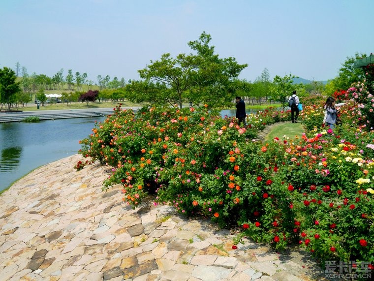 《 上海辰山植物园,一个人造的绿色世界 》
