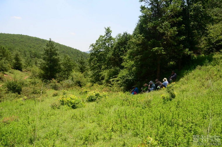 人人都道花兒豔我道青草翠比花交三橋縱隊小河邊徒步21km