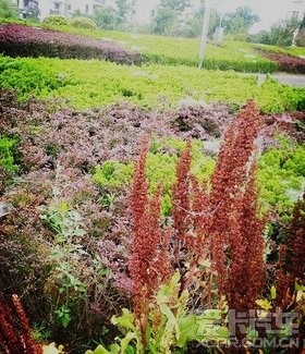 ճաԼ֮ã827ո£