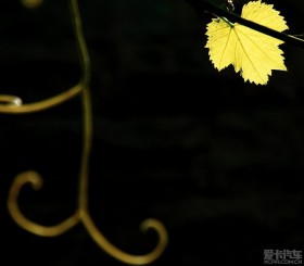 մǰϻٳٿã