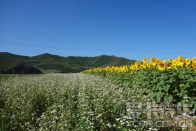 Լ֮,ֺ