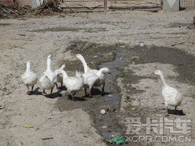 ȥϼɨ