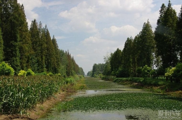 常州黄天荡湿地公园图片