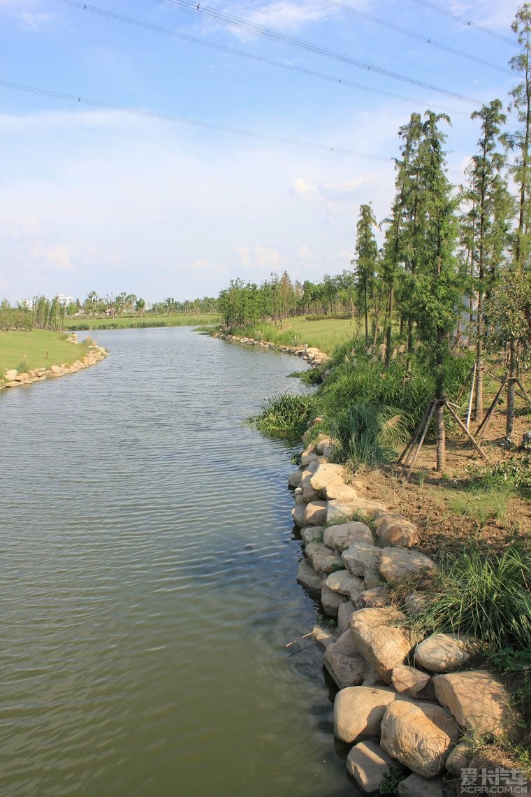 九里河湿地公园图片