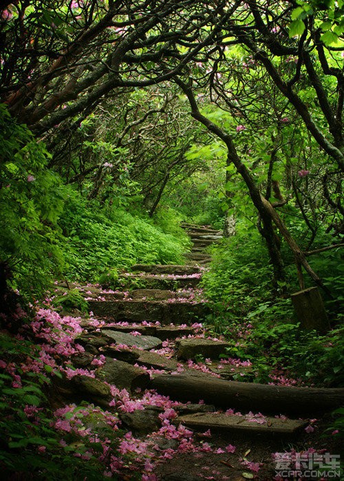 山间小路