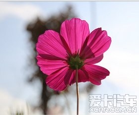 Լμǣ·--16¼ʼ--ؽ