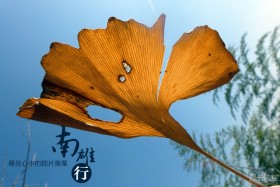 磺ְȥ֮㶫ع