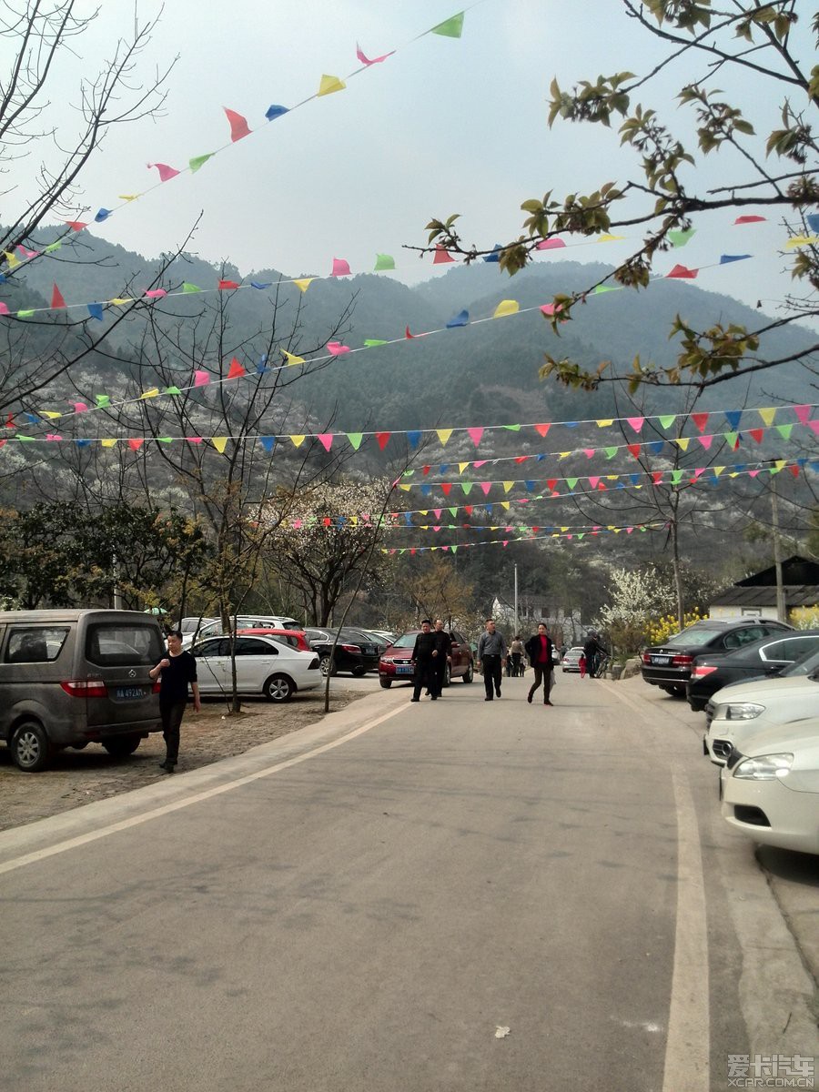 > 彭州葛仙山花園溝的李子花和油菜花