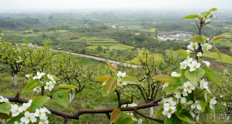 崇州的花果山和樱桃沟