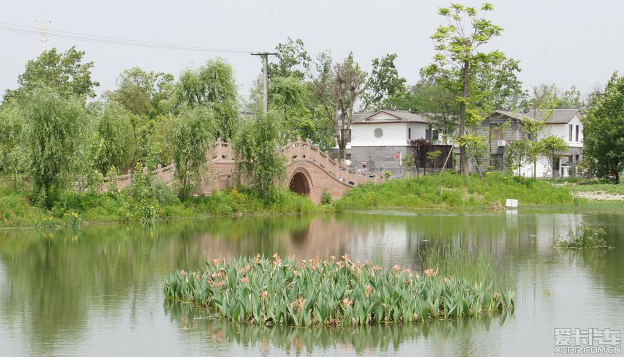 郫县青杠树村图片