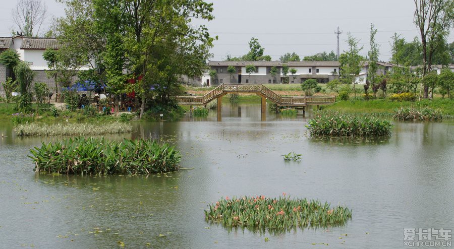 郫县青杠树村湿地公园图片