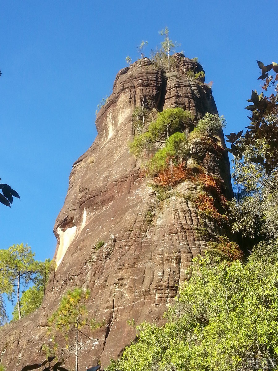 【圖】麗江老君山國家公園黎明景區,一個很多人都不知道的旅遊景點.