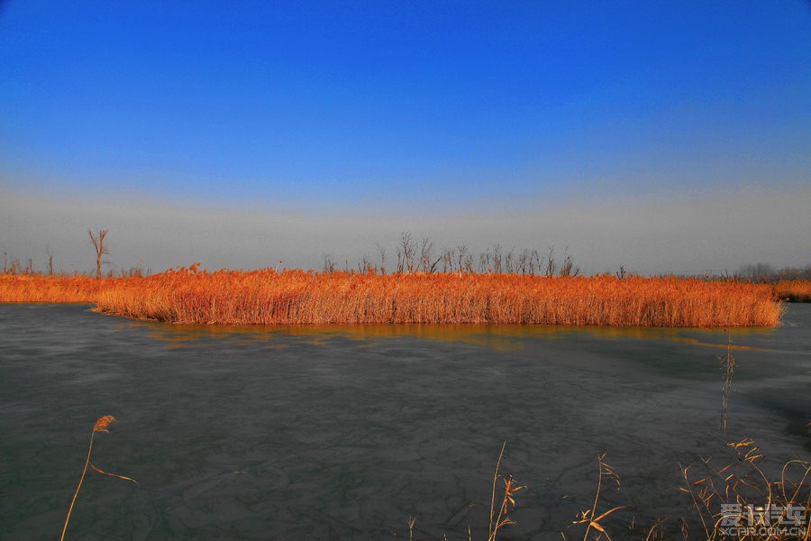济南美里湖湿地公园图片
