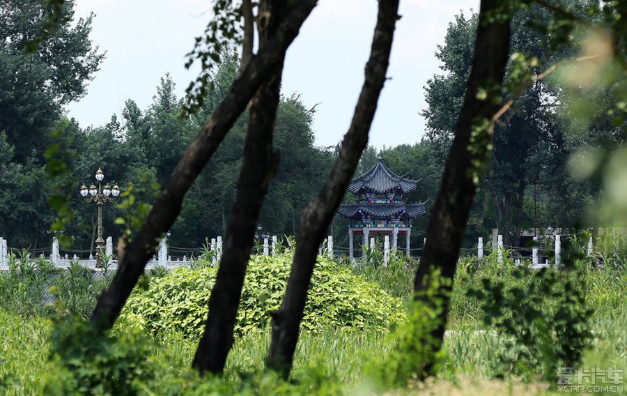 沈阳开发区高花街道张福安村内的赵国富村长他哥什么水平