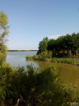 2013С