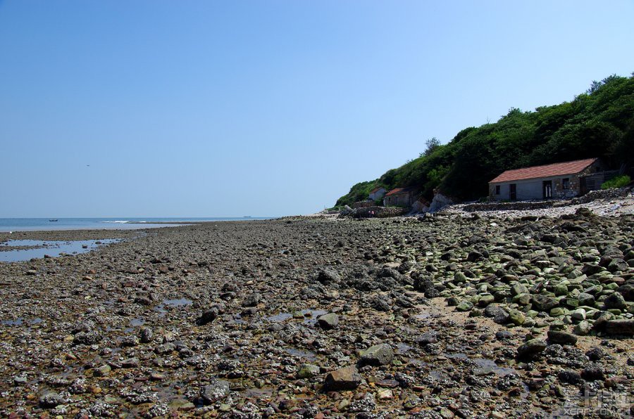 探访秦山岛神路