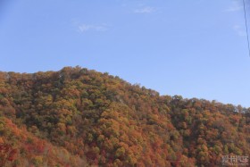 ڵ͡족֮á