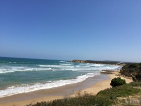 2015¼,