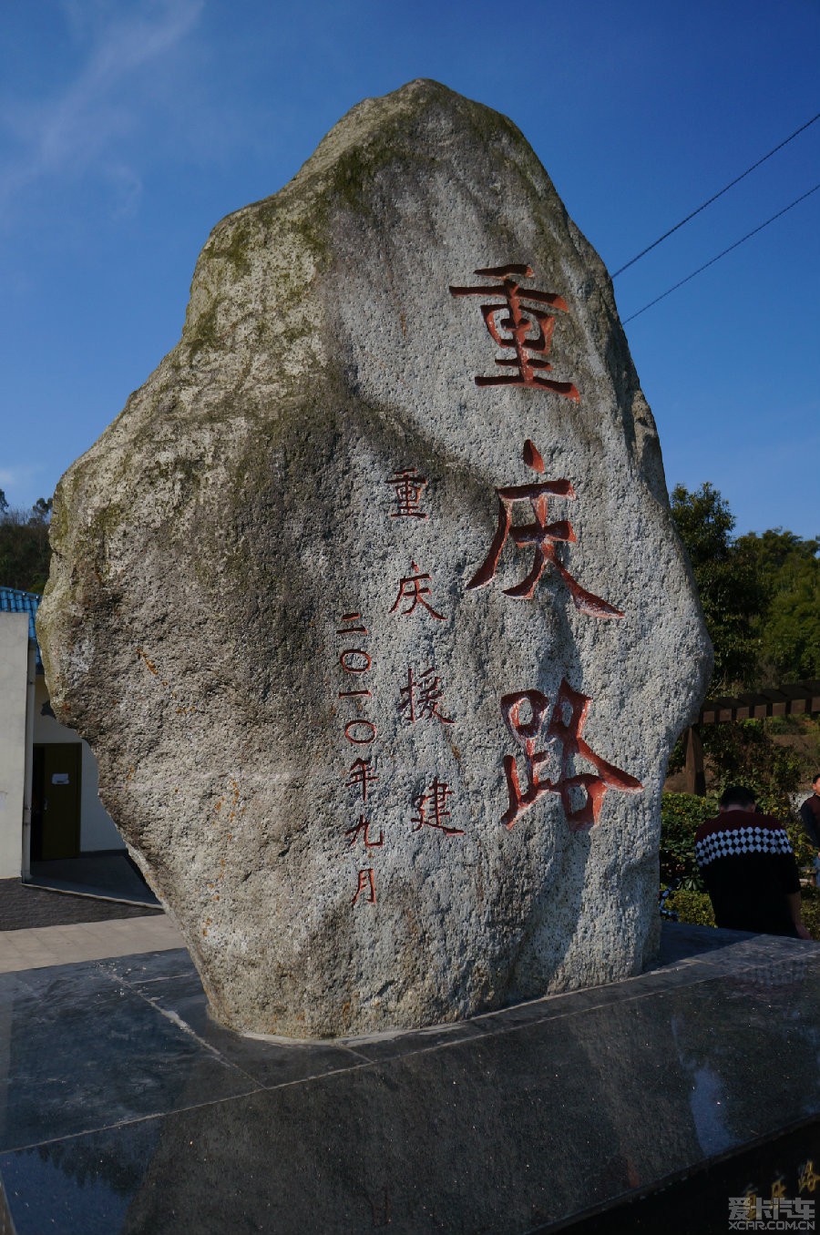 重庆路油菜花