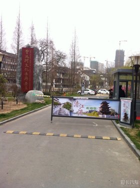 ϴ彭֣