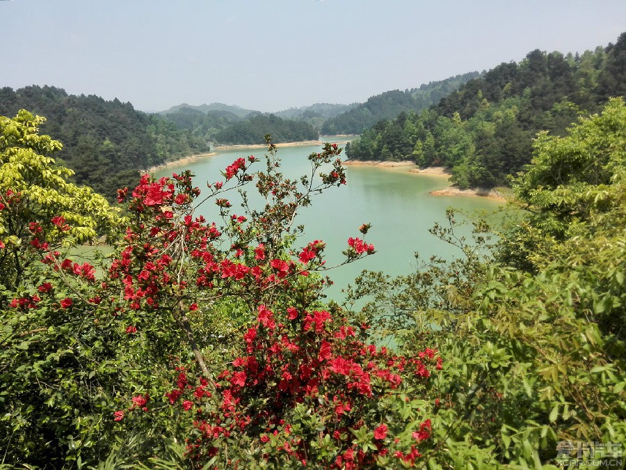 长顺杜鹃湖杜鹃几月开图片