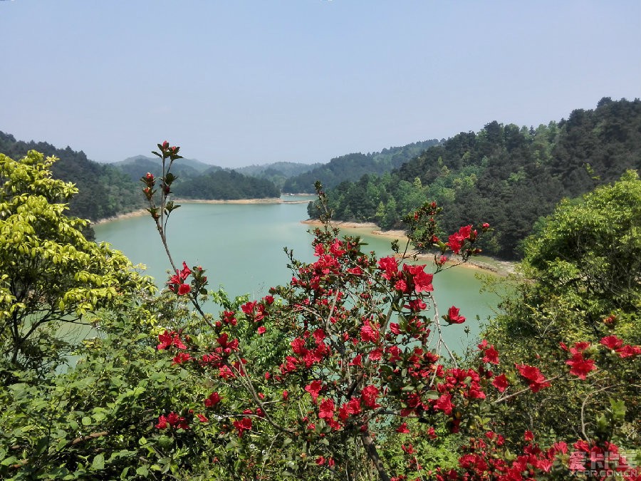 長順杜鵑湖