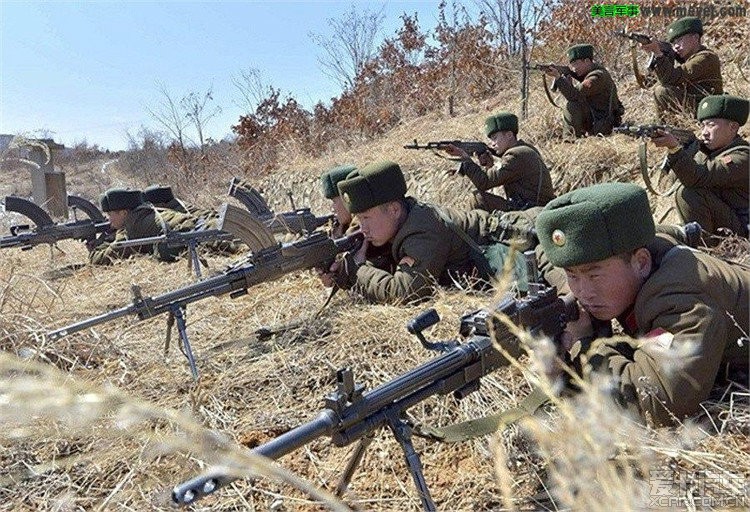朝鲜73式轻机枪图片