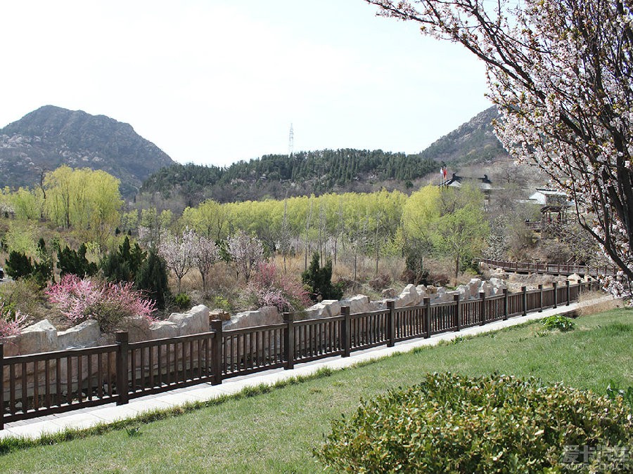 春遊金龍寺國家森林公園