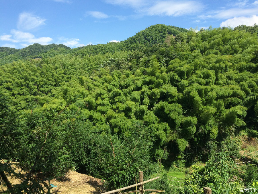 千年香榧林景区自驾游图片