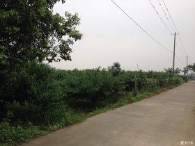 ɽˮ֮