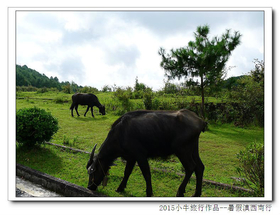 2015ϴڳ塢֮