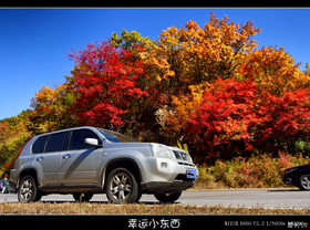 2013ɶԼΣ8ѤıҶ