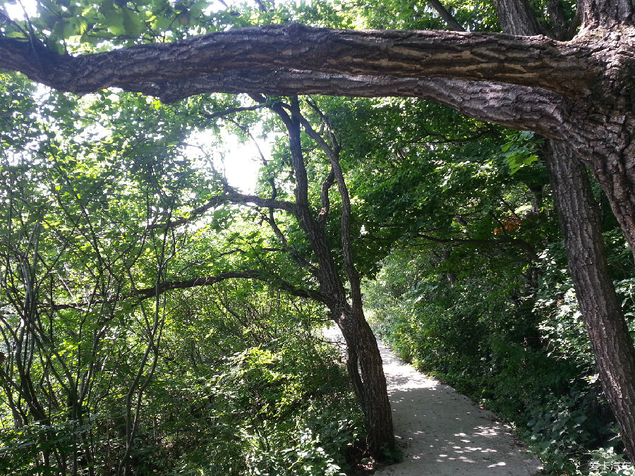 旬邑石門山森林公園——渭北高原上的香格里拉-愛卡汽車網論壇