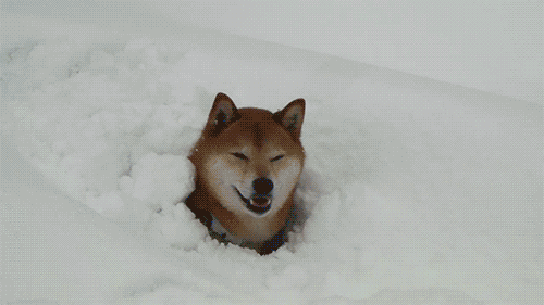 下雪搞笑表情包图片