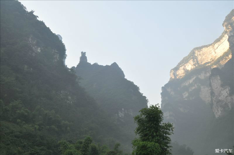 三峡地区的天然氧吧-----竹海