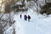 冬天的第一场雪，去河南最高是山老鸦岔踩雪去！
