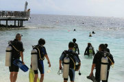在印度洋班度士岛海底潜水——探寻奇妙的海底世界
