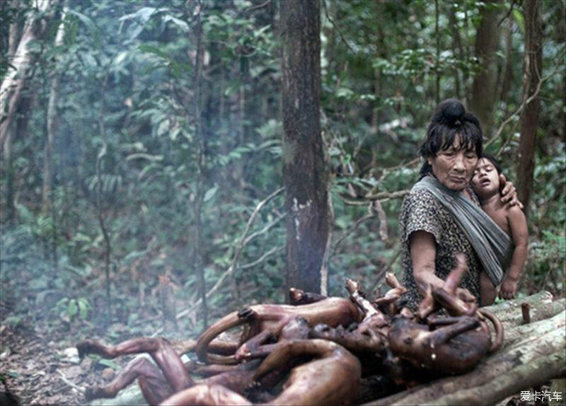 即将消失的部落巴西亚马逊的awa部落