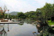 苏州龙池风景