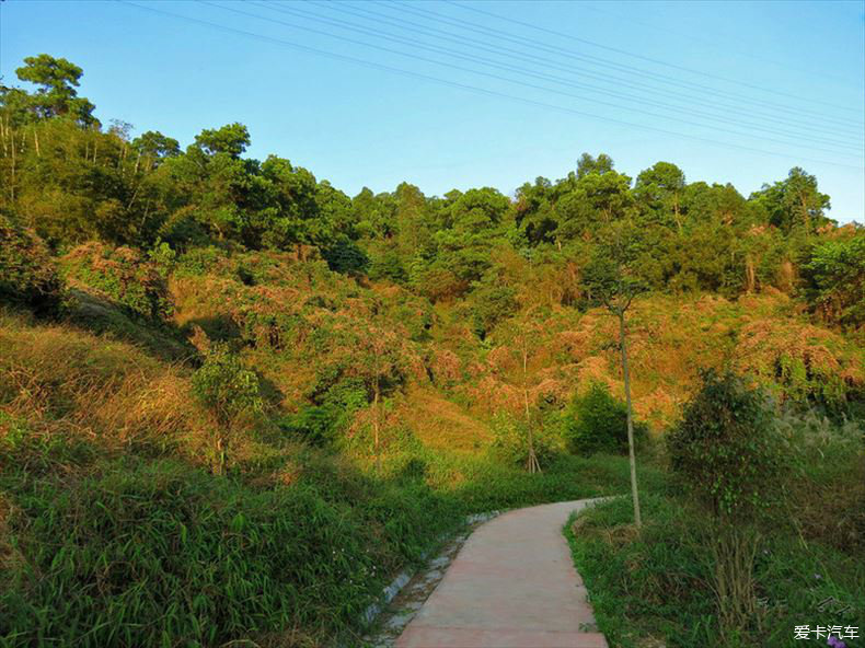 深圳平湖附近免费景点图片