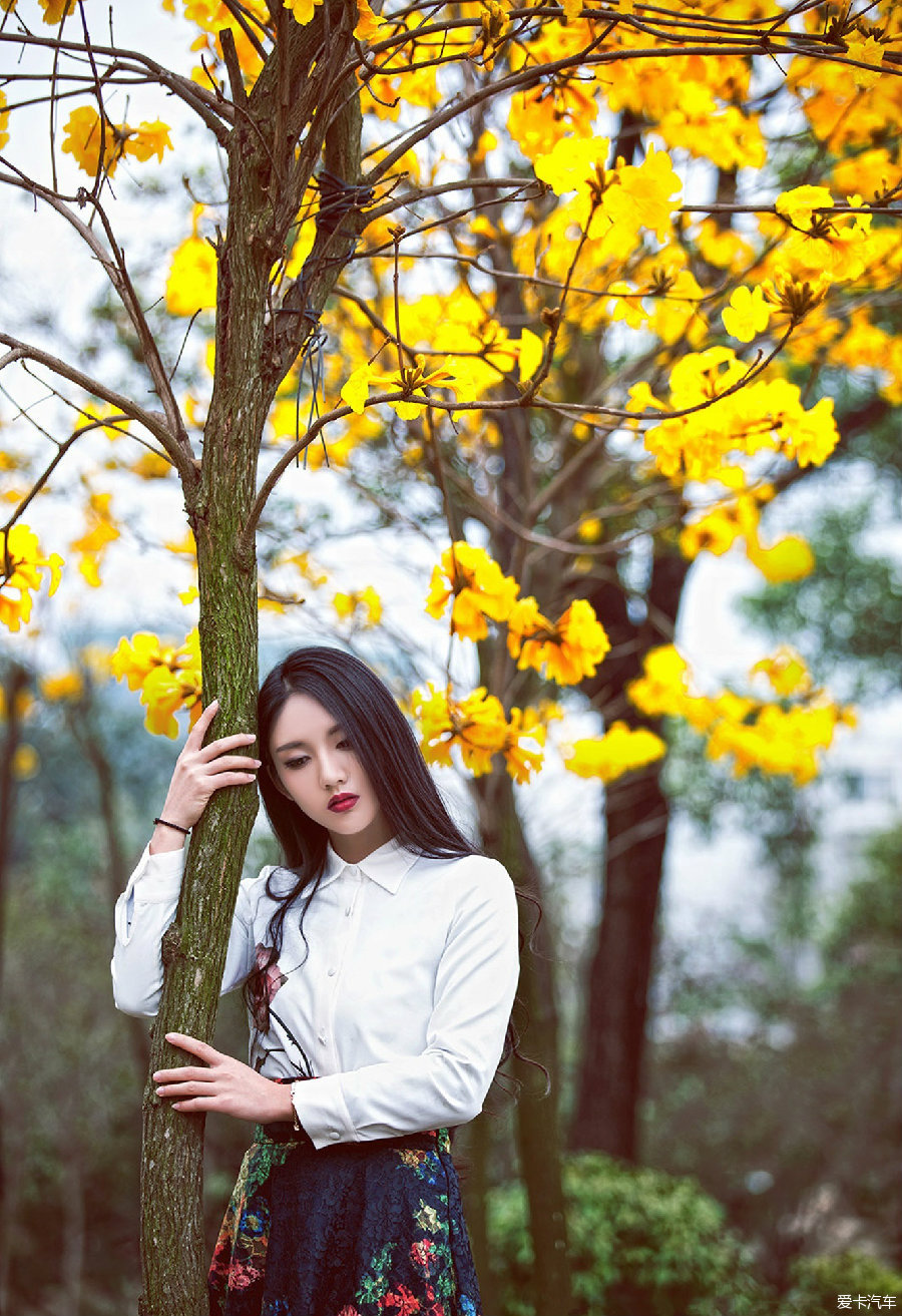 古有黃花閨女今有黃花大妞一組順便鞏固個姿勢